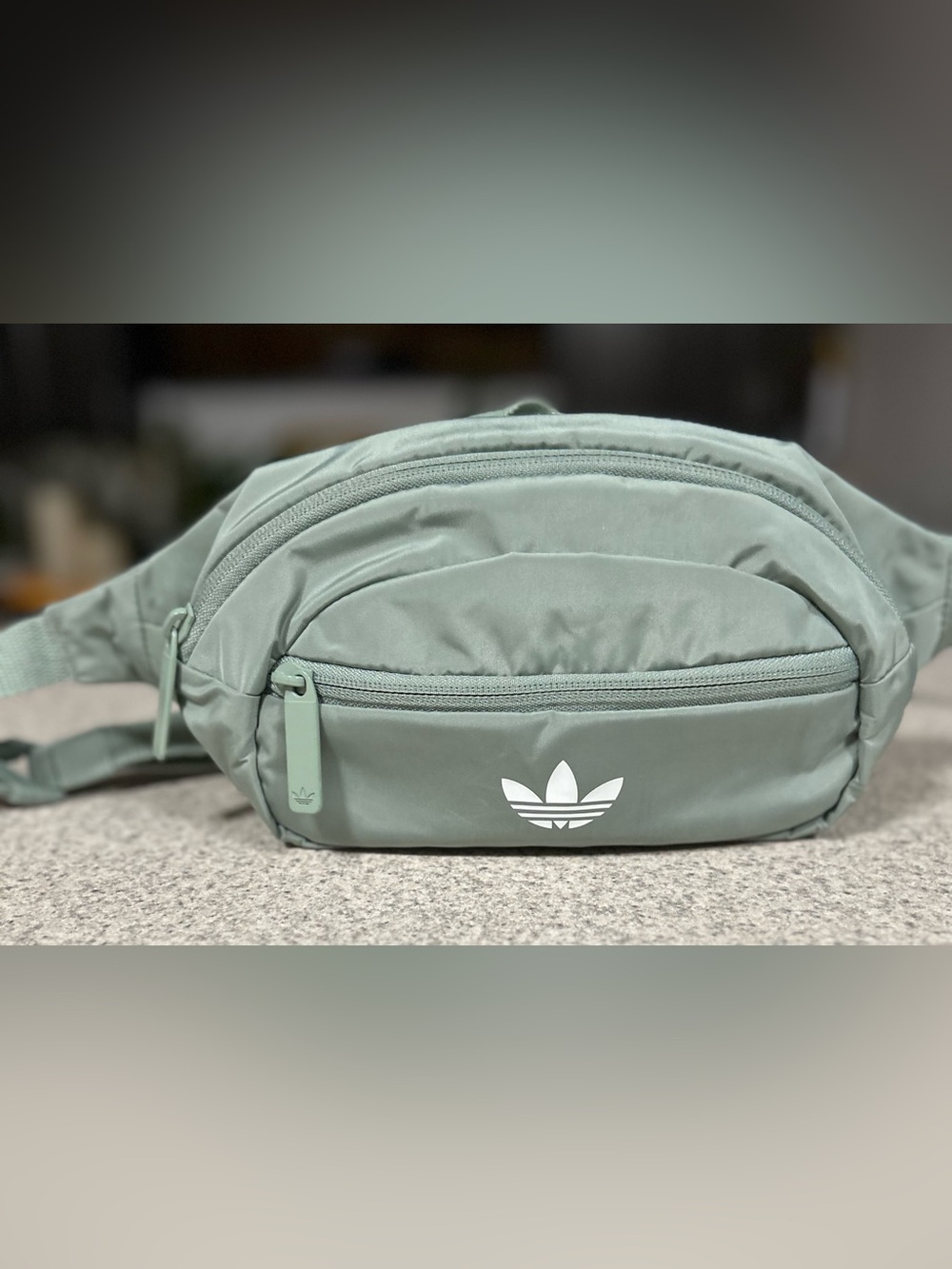 Adidas Originals National Waist Pack in Sage Green